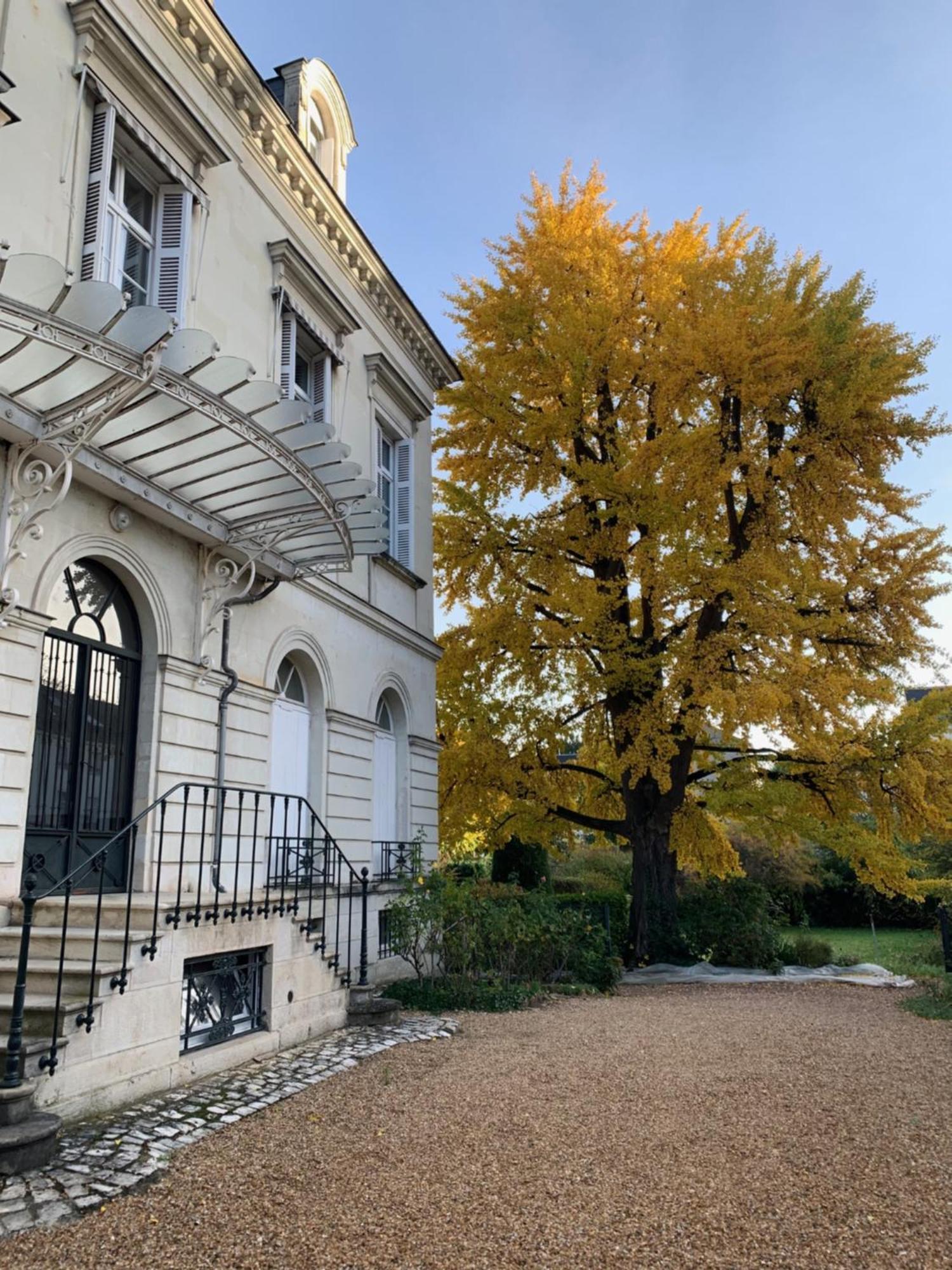 A L'Abri Du Ginkgo Apartman Tours Kültér fotó